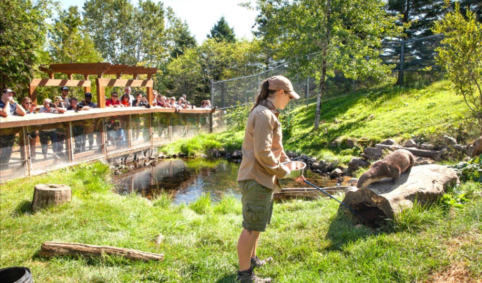 Auberge Soleil De Mer Bonaventure Exteriör bild